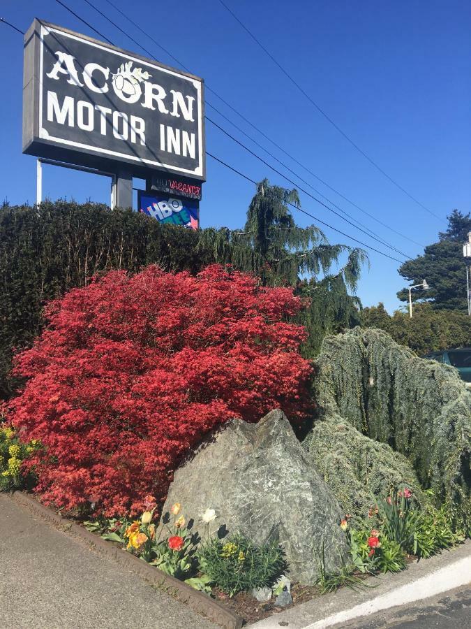 Acorn Motor Inn オークハーバー エクステリア 写真